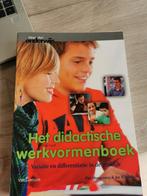 Piet Hoogeveen - Het didactisch werkvormenboek, Ophalen of Verzenden, Zo goed als nieuw, Piet Hoogeveen; Jos Winkels
