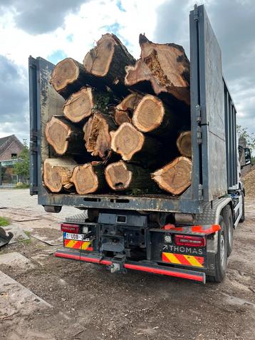 Stamhout populier te koop, Ophalen, Stammen