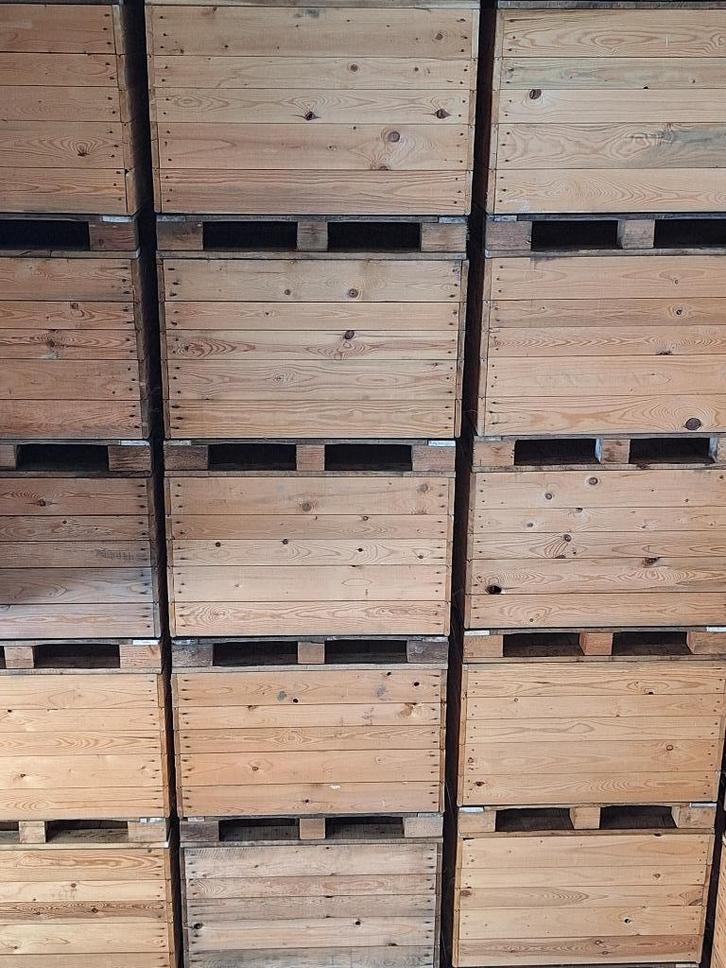 Paloxen/ Paloxenkar, Zakelijke goederen, Landbouw | Aardappelen, Groenten, Fruit en Vlees, Ophalen