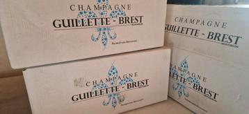 Champagne Guillette Brest  beschikbaar voor biedingen