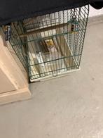 Vogelkooi van kanarie of zo, Dieren en Toebehoren, Ophalen, Gebruikt, Vogelkooi