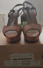 Lola cruz hakschoenen, Lola cruz, Enlèvement