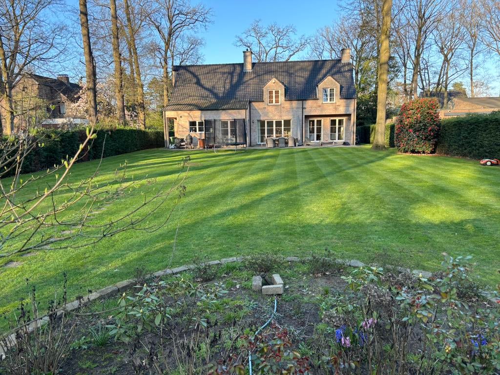 Verticuteren, Inzaaien & Bemesten van uw Gazon, Ophalen of Verzenden, Overige typen