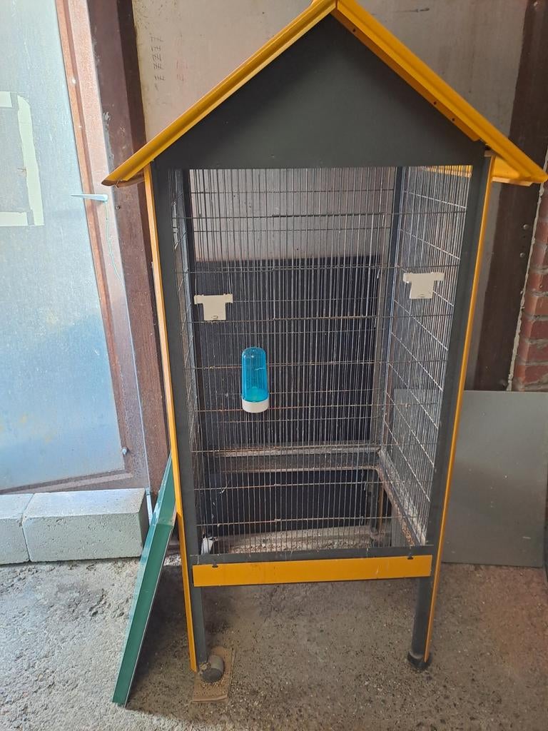 Recherche canaris mâle, Animaux & Accessoires, Enlèvement