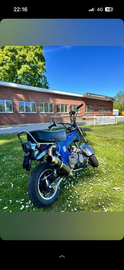 Dax, Vélos & Vélomoteurs, Cyclomoteurs | Honda, Comme neuf, Autres modèles, Classe B (45 km/h), Enlèvement