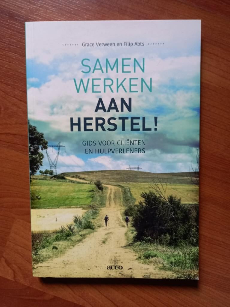 Samen werken aan herstel! - Grace Verween (2015), Livres, Psychologie, Psychologie sociale, Envoi, Neuf, Grace Verween