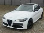 Alfa Romeo Giulia Giulia 2.2 JTDm Sport (EU6d-TEMP), Achat, Entreprise, Automatique, Giulia