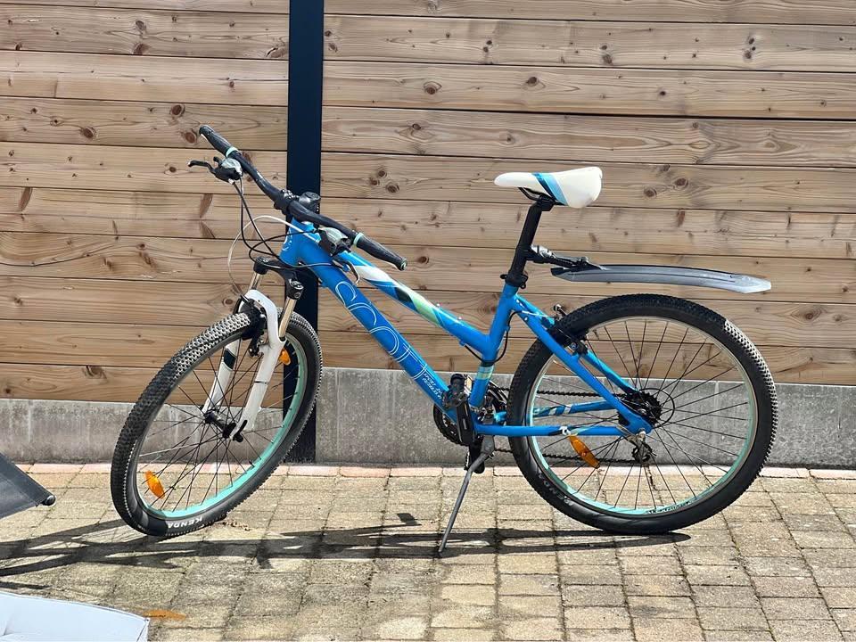 Vélo de montagne Scott Contessa 650, Vélos & Vélomoteurs, Vélos | VTT & Mountainbikes, Utilisé, Hommes, Autres marques, Enlèvement