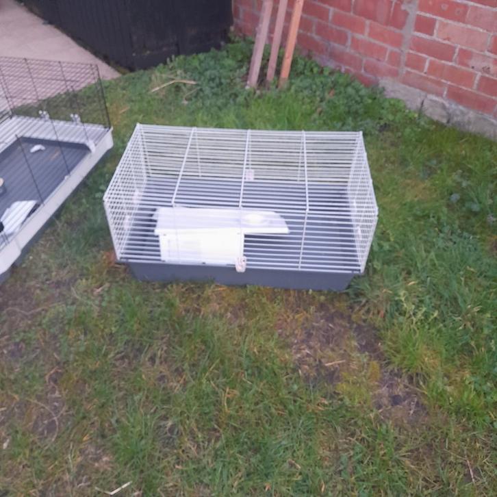 Kooien voor knaagdieren te koop, Dieren en Toebehoren, Knaagdieren en Konijnen | Hokken en Kooien, Kooi, Ophalen