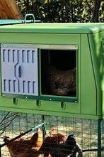 de ei-chalet kippenhok kunststof, Ophalen