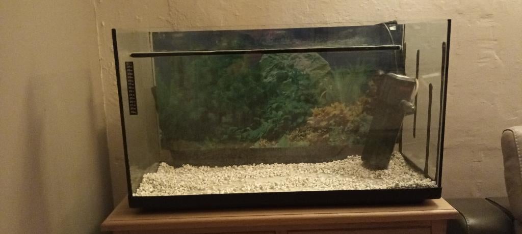 Aquarium 150 L, Enlèvement, Chauffage, Utilisé