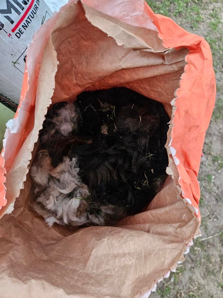 Alpacawol, Enlèvement