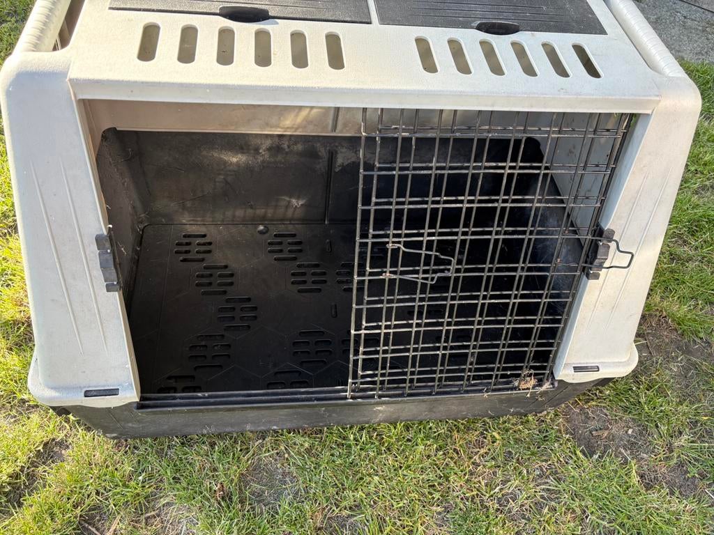 Cage de transport chien, Animaux & Accessoires, Enlèvement, Utilisé