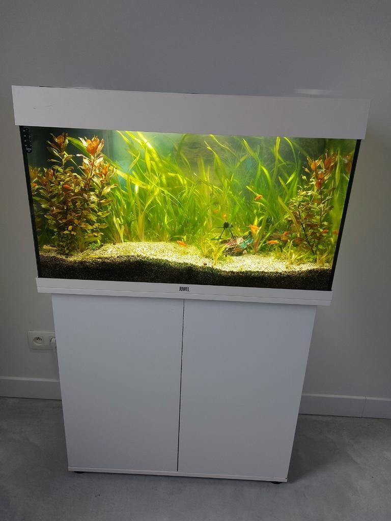 Juwel aquarium met  onderkast, Dieren en Toebehoren, Ophalen, Juwel