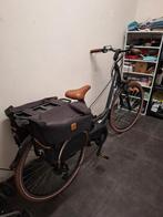 Elektrische damermsfiets minerva, Enlèvement