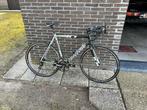Racefiets Canondale (Caad10), Heren, Aluminium, 15 tot 20 versnellingen, 53 tot 57 cm