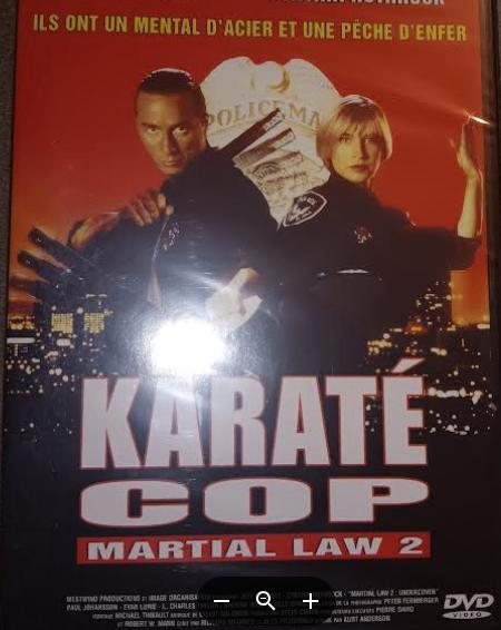 DVD ' Karate Cop Martial law 2 ' NEUF, CD & DVD, DVD | Sport & Fitness, Enlèvement ou Envoi, Neuf, dans son emballage, Autres types