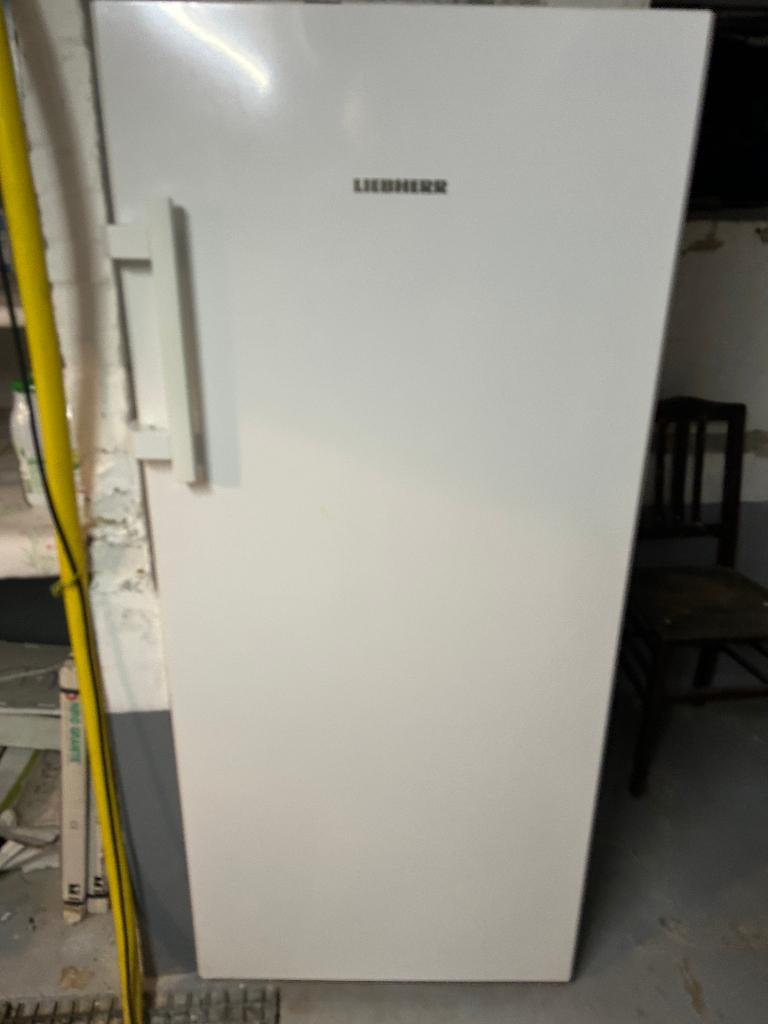 CONGÉLATEUR LIEBHERR BLUE EFFICIENCY, Electroménager, Congélateur, Comme neuf, 60 à 90 cm, Autoportant