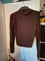 Trui maat 40 gedragen staat maar nog goed, Kleding | Dames, Truien en Vesten, Ophalen of Verzenden, Maat 38/40 (M)