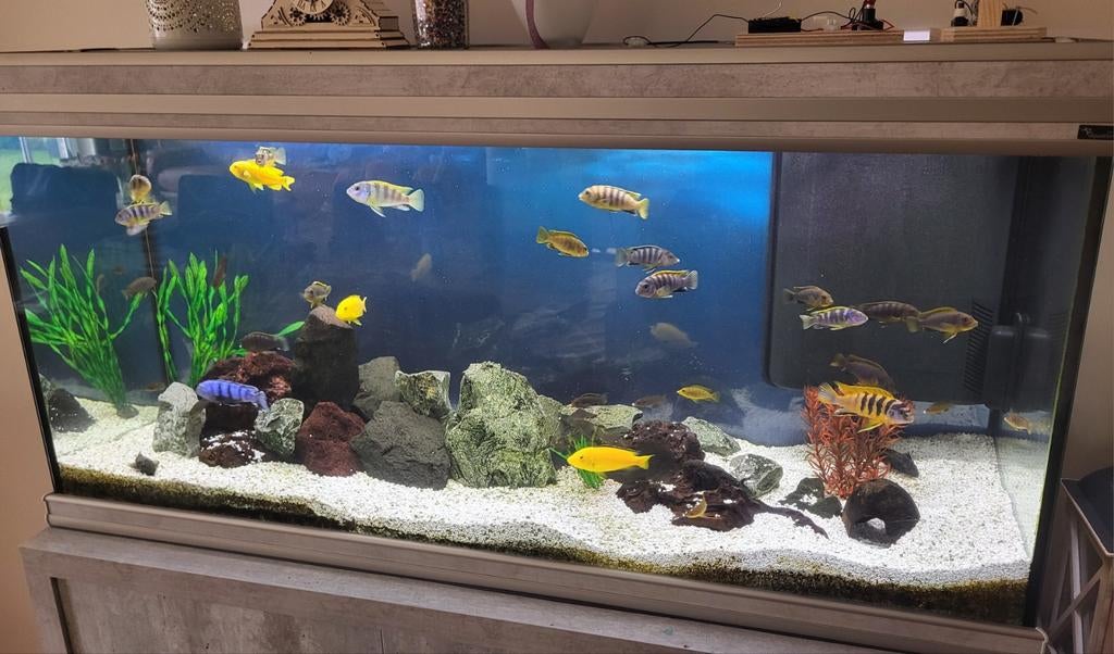Te herstellen aquarium aquatlantis 1m20, Dieren en Toebehoren, Ophalen
