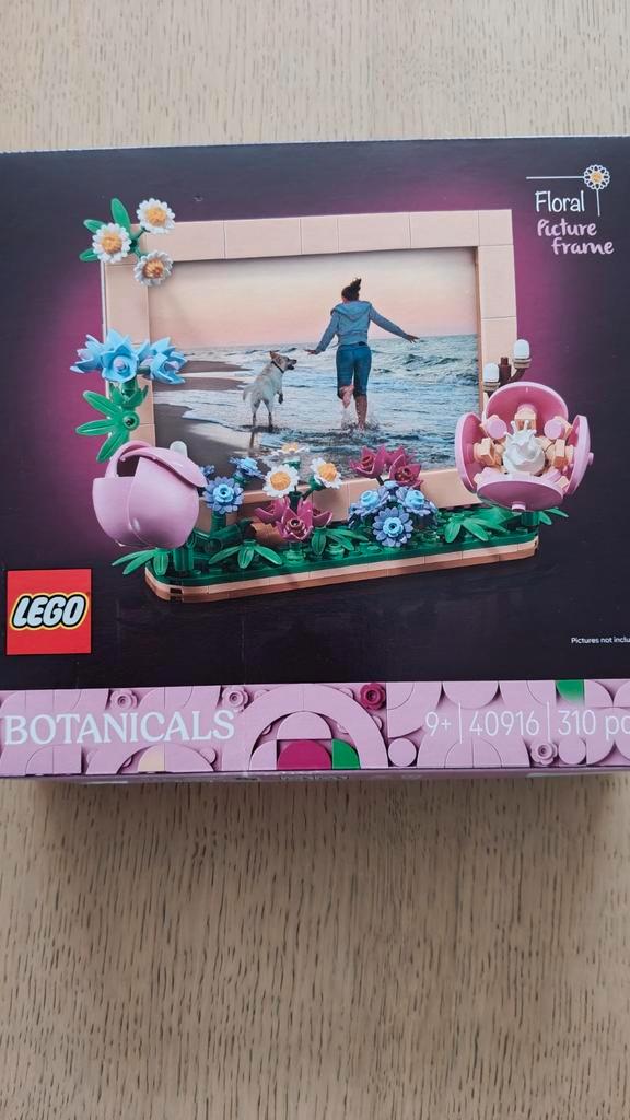 Cadre photo Lego Botanicals 40916, Enfants & Bébés, Jouets | Duplo & Lego, Lego, Enlèvement ou Envoi