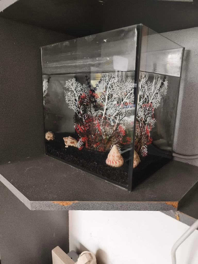 Aqarium klein, Dieren en Toebehoren, Ophalen