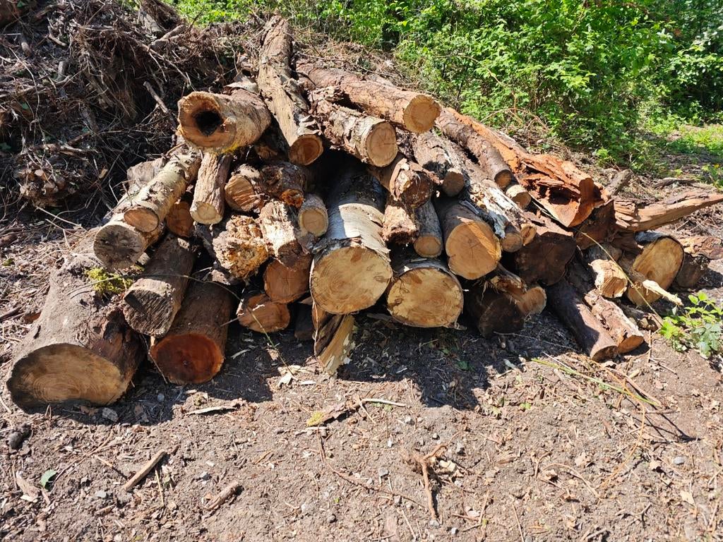 Bois de chauffage, arbres divers, Enlèvement