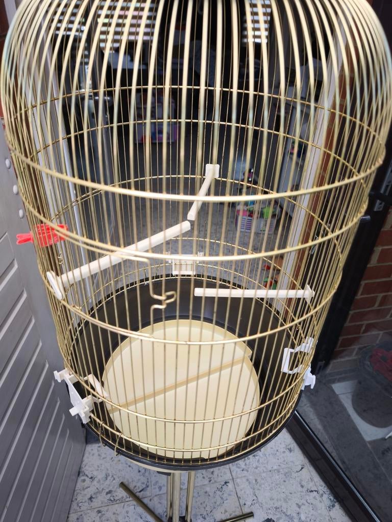 Cages oiseaux, Animaux & Accessoires, Enlèvement