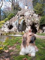 Recherchez une chambre, un studio ou un petit appartement, Immo