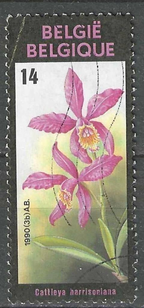 Belgie 1990 - Yvert/OBP 2358 - Gentse Floralien VIII (ST), Postzegels en Munten, Postzegels | Europa | België, Gestempeld, Gestempeld