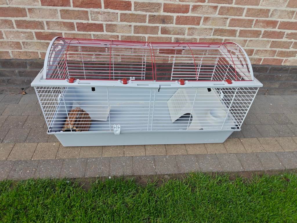 Kooi voor cavia's, Dieren en Toebehoren, Ophalen, Kooi, Cavia