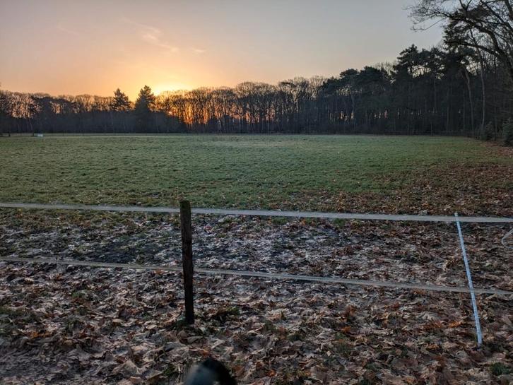 paardenweide, Animaux & Accessoires, Box & Pâturages, Pâturage, 2 ou 3 chevaux ou poneys