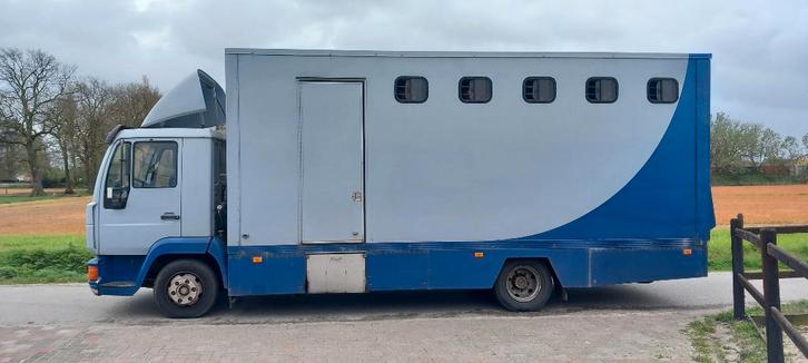 paarden vrachtwagen, Dieren en Toebehoren, Paarden en Pony's | Trailers en Aanhangwagens, Gebruikt, Overige typen, Overige materialen