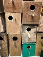 BROEDBLOKKEN GRASPARKIETEN NU 2,50 EURO/STUK, Enlèvement, Comme neuf