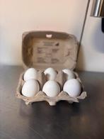 verse eieren witte leghorn, Enlèvement