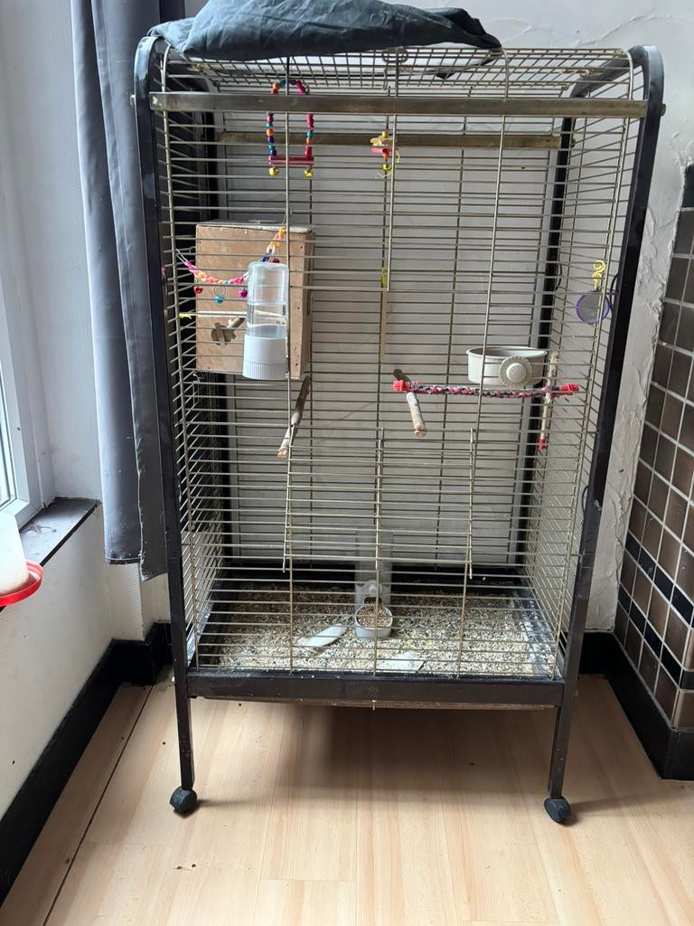 Grote vogel kooi, Enlèvement, Utilisé, Métal, Cage à oiseaux