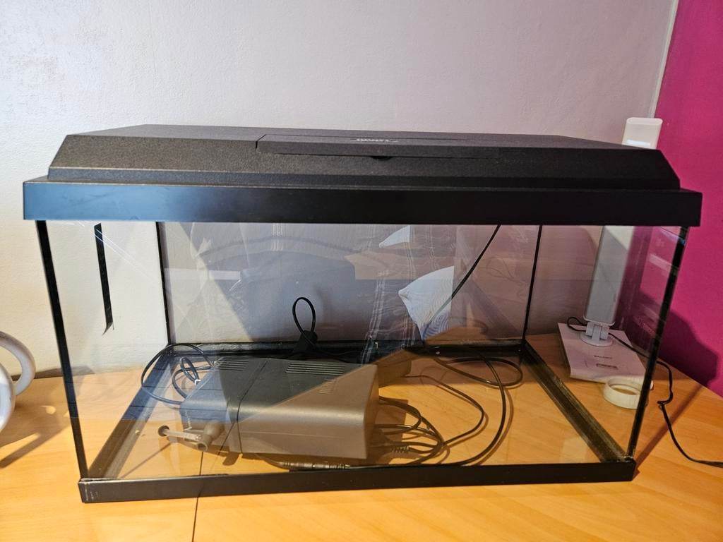 Bijou Aquarium 60l, Animaux & Accessoires, Enlèvement, Juwel