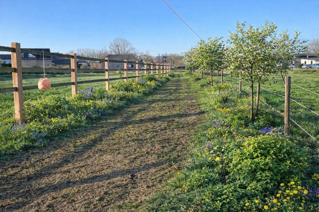 Meadow Buddy, Animaux & Accessoires, Pâturage