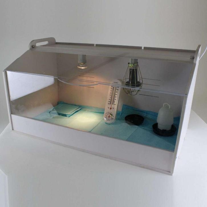 MS opfokhok voor kuikens - groot, Dieren en Toebehoren, Pluimvee | Toebehoren, Nieuw, Kippenhok of Kippenren, Ophalen of Verzenden