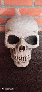 Doodskop in beton, Ophalen, Nieuw, Beton, Overige typen