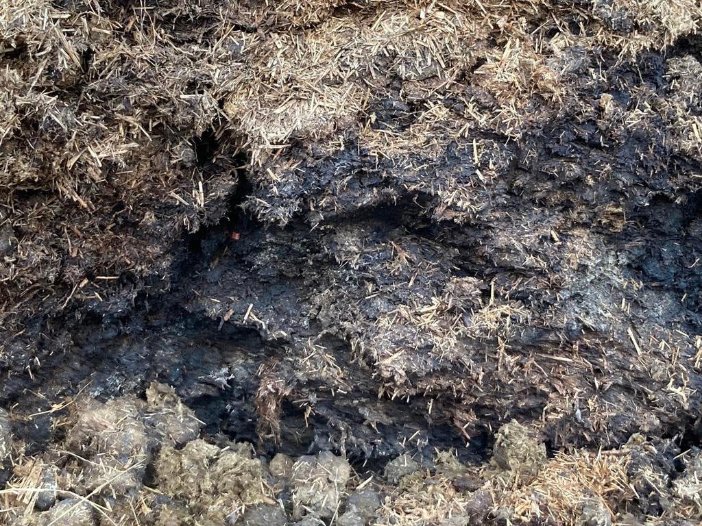 GRATIS paarden mest, Tuin en Terras, Aarde en Mest, Ophalen, Mest