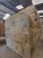 Foin Bio 2025, Zakelijke goederen, Landbouw | Veevoer, Ophalen