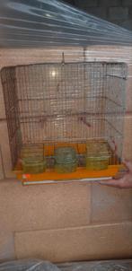 Cage à oiseaux, Animaux & Accessoires, Oiseaux | Cages & Volières, Utilisé, Enlèvement ou Envoi, Métal, Cage à oiseaux