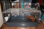 Accessoires voor cavia, Dieren en Toebehoren, Ophalen, Kooi, Hamster, 60 tot 90 cm