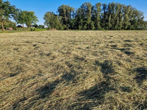 Mini balen, Dieren en Toebehoren, Dierenvoeding, Ophalen