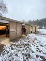 Steeldeck platen voor stallen geisoleerde, Dieren en Toebehoren, Stalling en Weidegang, Stalling