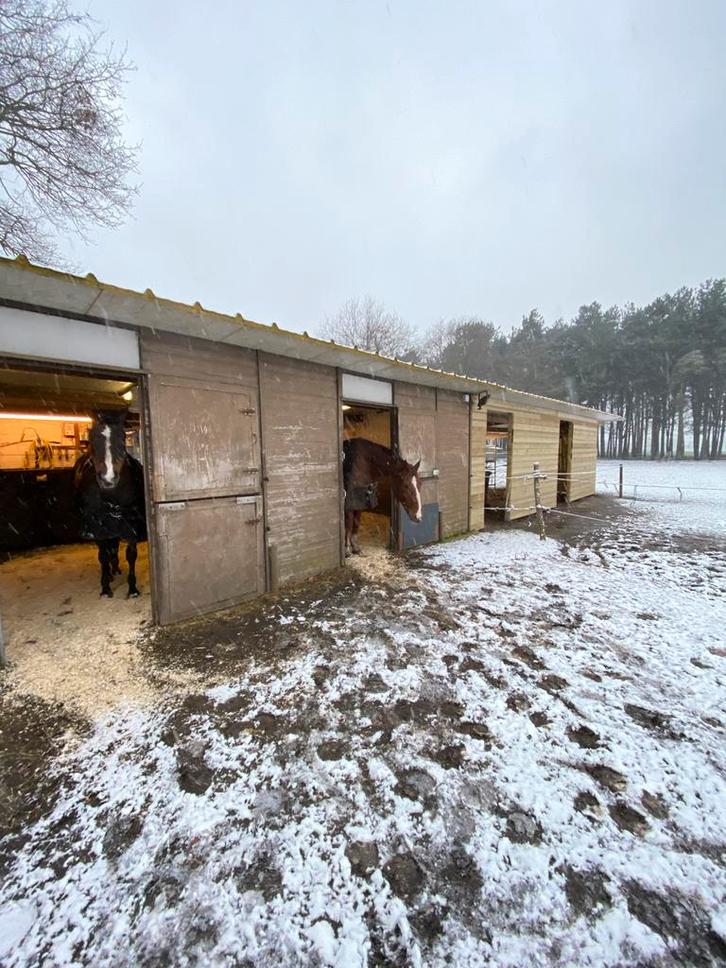 Steeldeck platen voor stallen geisoleerde, Animaux & Accessoires, Box & Pâturages, Mise à l'étable