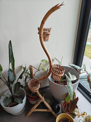 Vintage, retro plantenstaander in rotan beschikbaar voor biedingen