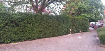 auto staan plaats te huur in MORTSEL  beschikbaar voor biedingen