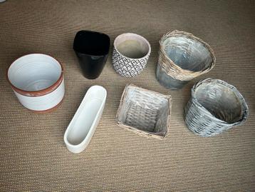Cache pots pour orchidées, milieu de table et vase beschikbaar voor biedingen